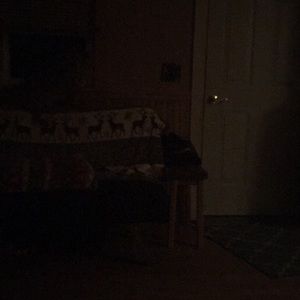 Meet your Posher, Cornelia